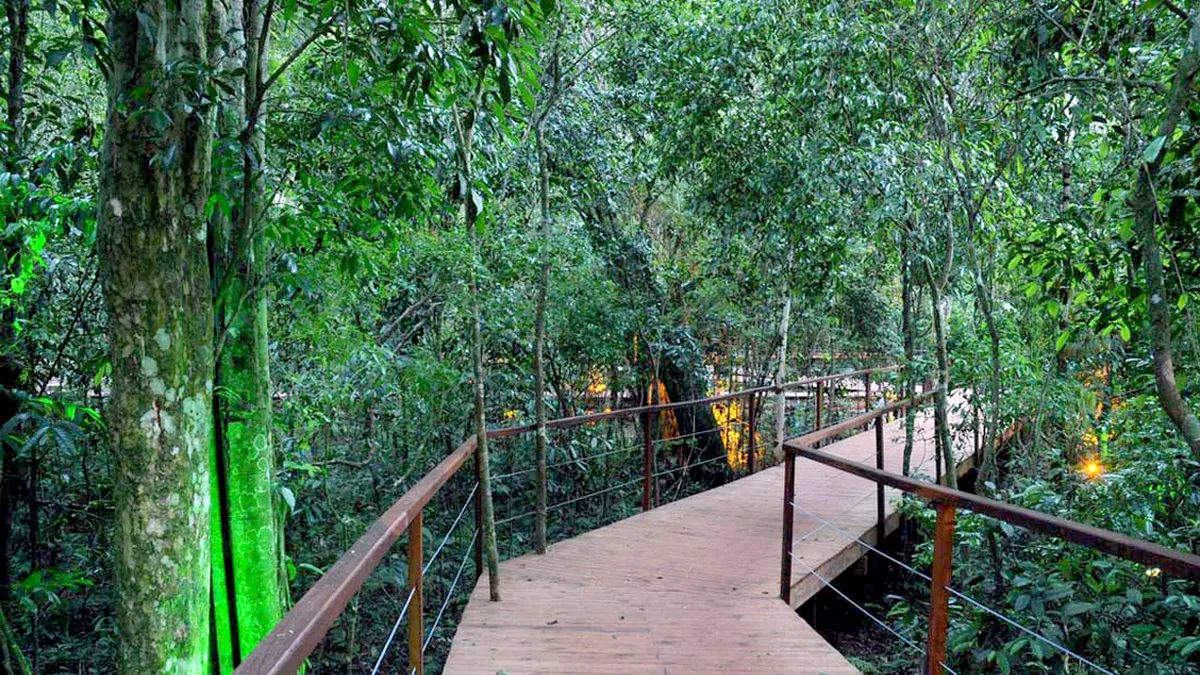 Reserva Selva Iryapú