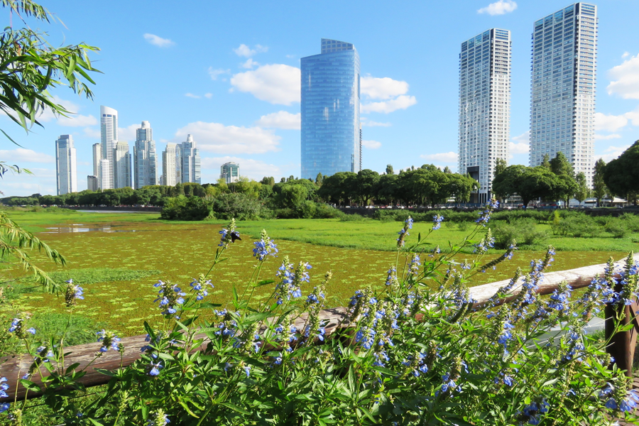 Reserva ecológica Costanera Sur Capital Federal