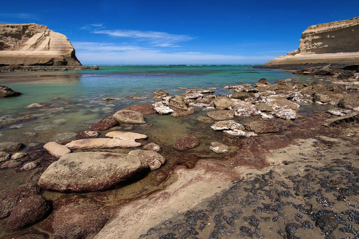 Parque Nacional Monte León: naturaleza en su estado más puro
