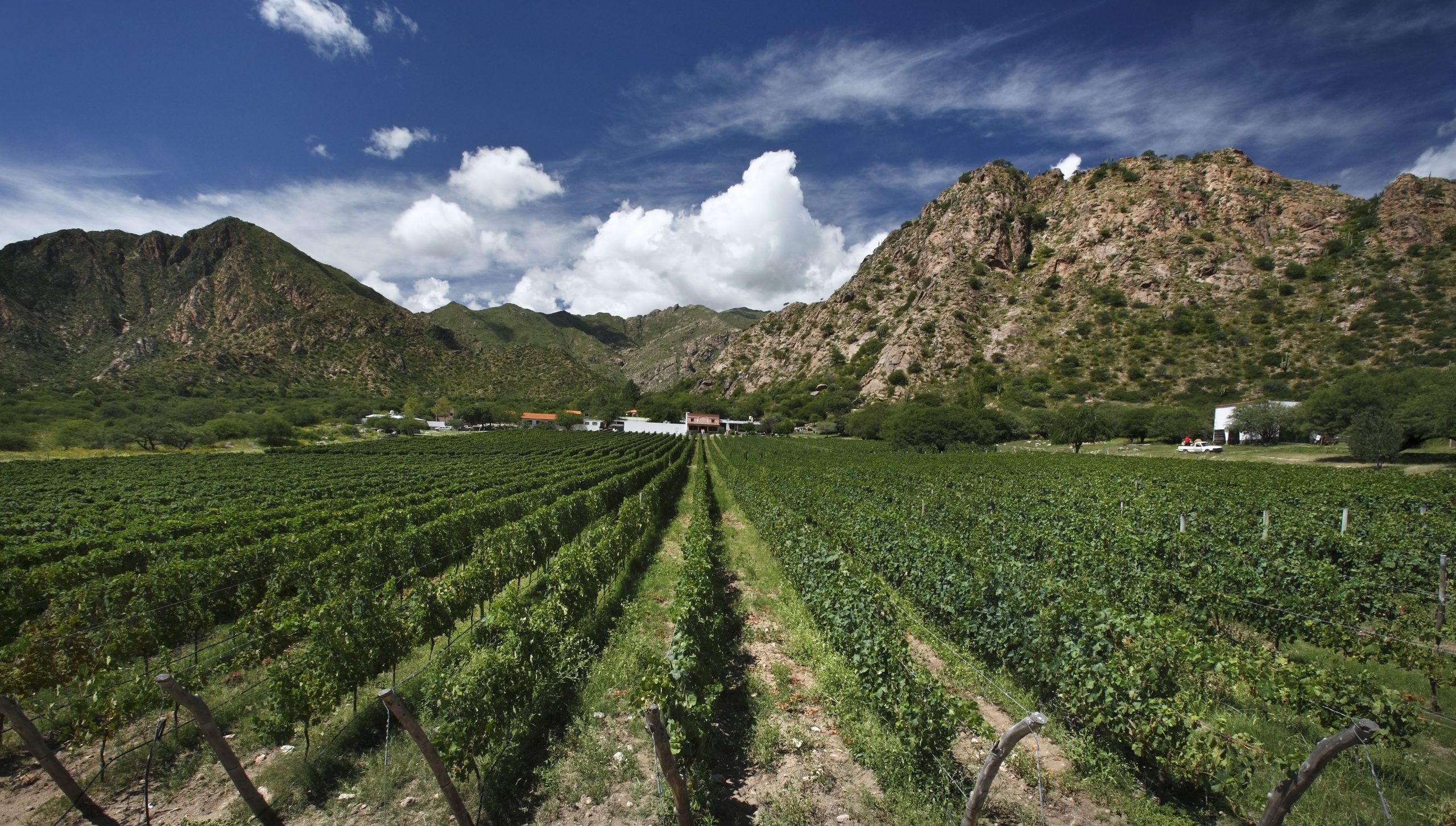 El Esteco, Finca Las Nubes y otras clásicas