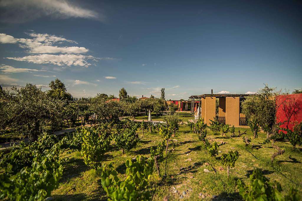 Bodega El Enemigo (Casa Vigil)