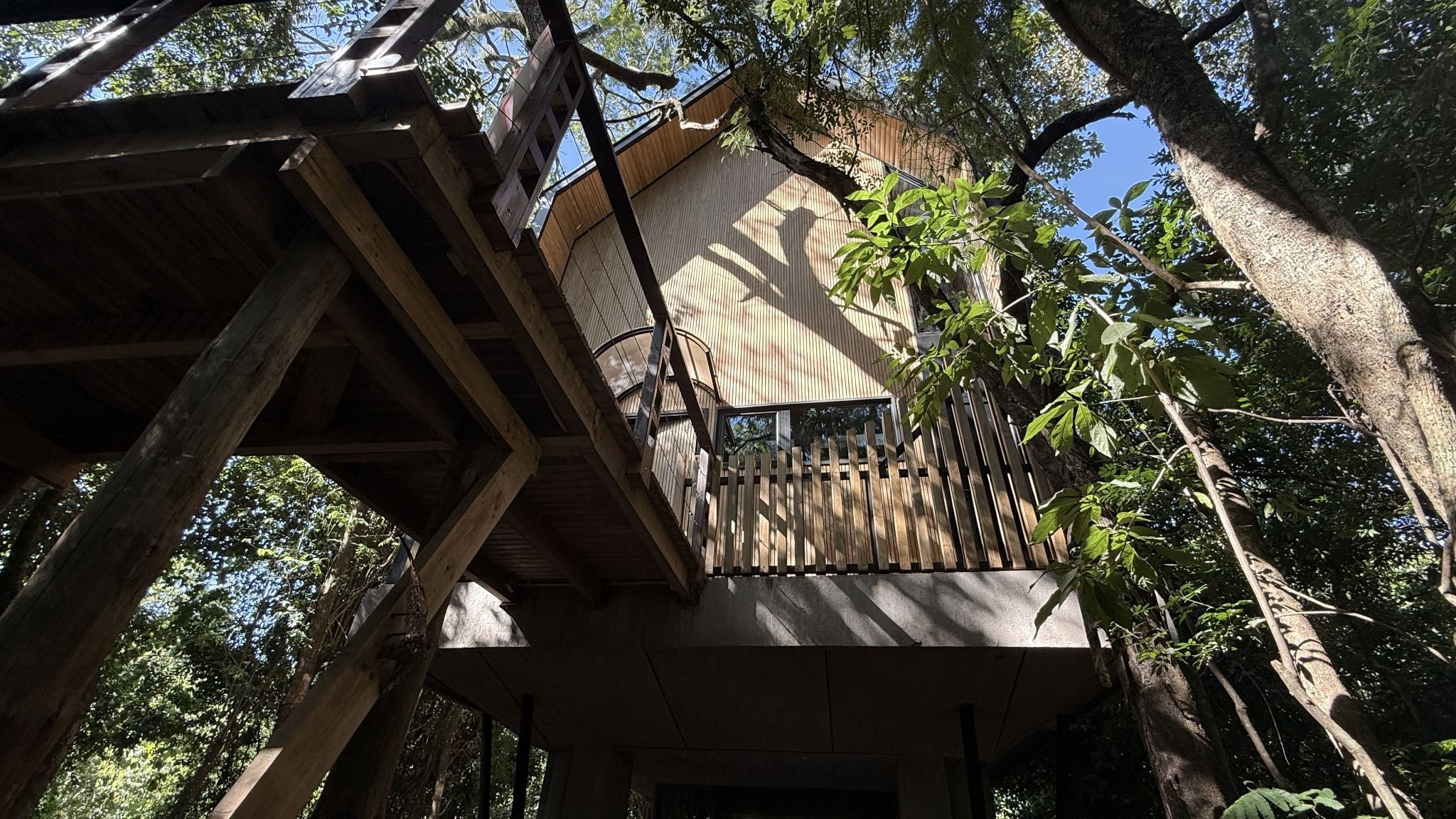 hotel entre arboles